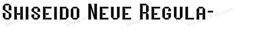 Shiseido Neue Regula字体转换 Shiseido Neue Regula字体转换